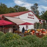 Szalay's Farm & Market