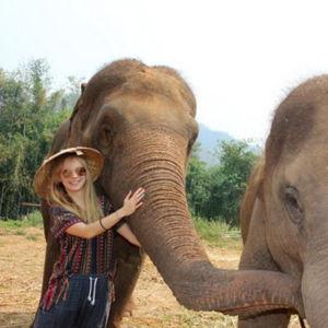 Chaing Mai Elephant Sanctuary & Petting!