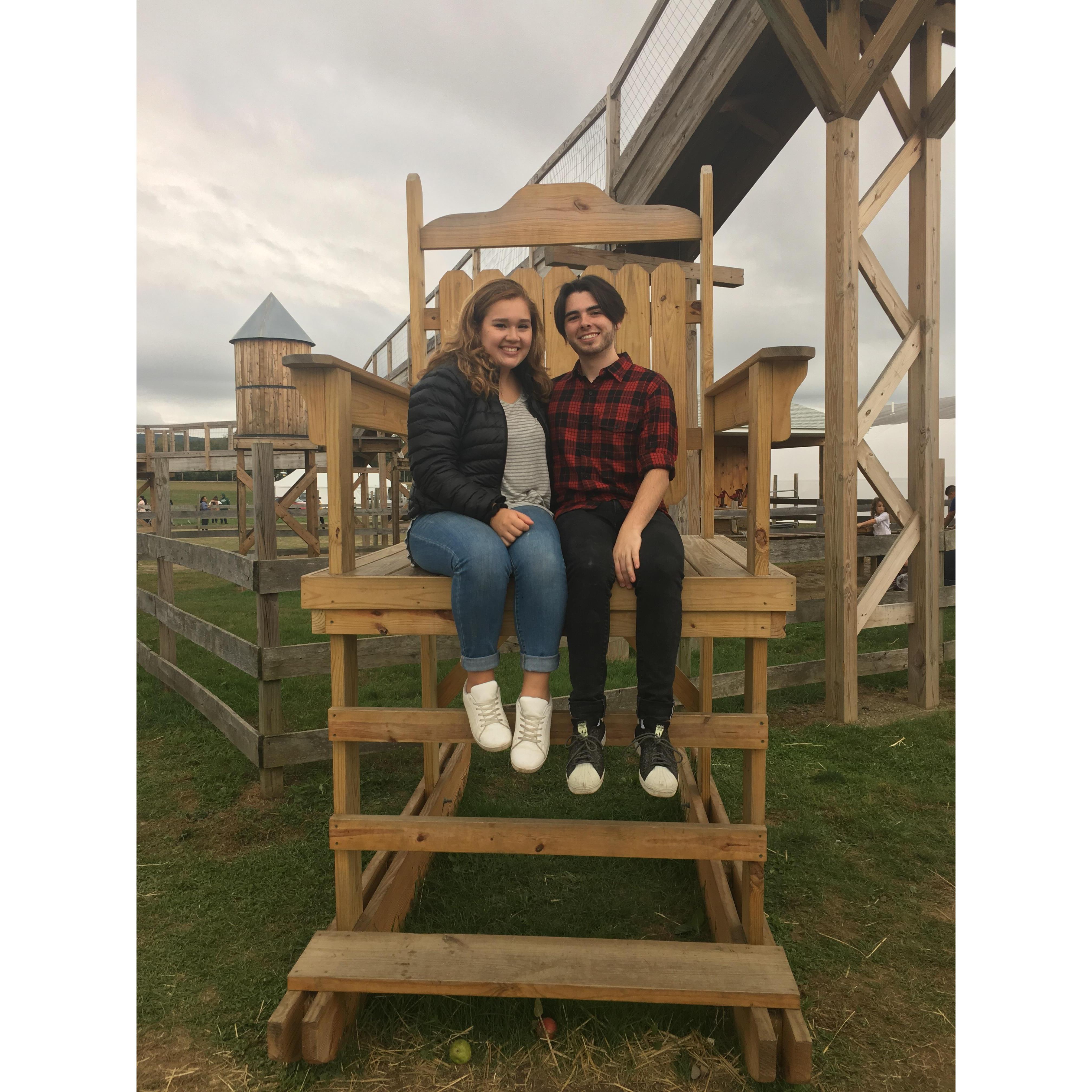 Apple Picking, Fall 2017