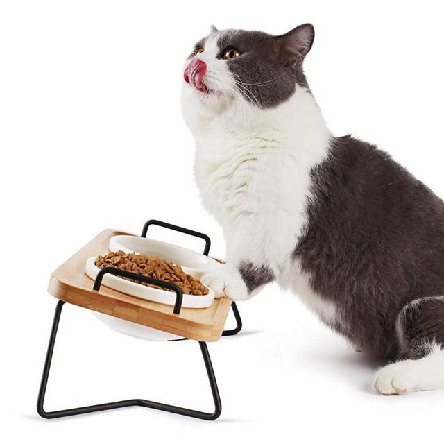 Pmcvse Elevated Ceramic Cat Bowls, 15° Tilted Raised Food Feeding Dishes, with Stand Bamboo Water Feeder Set for Small Size Dogs and Puppies