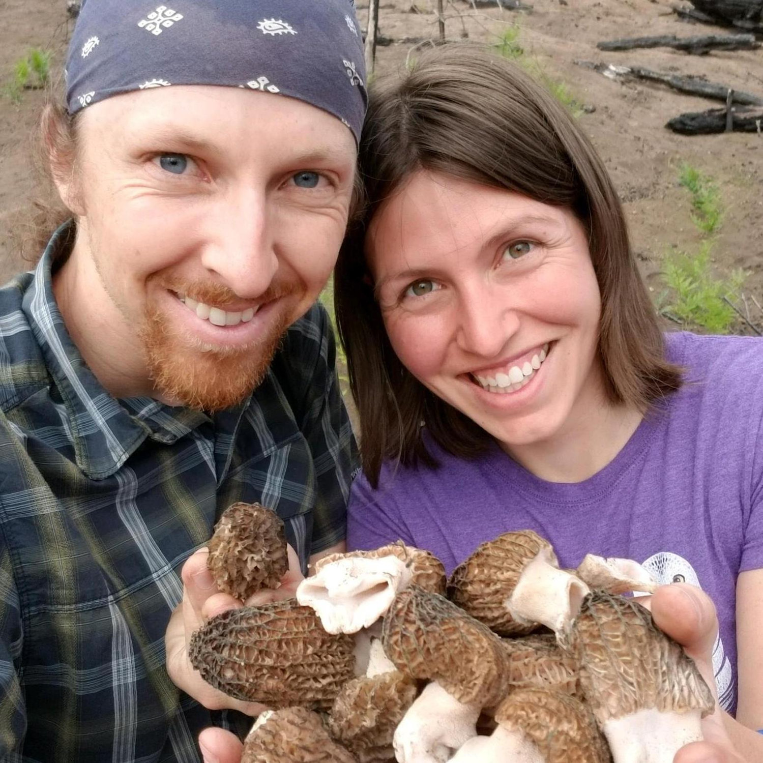 Morels