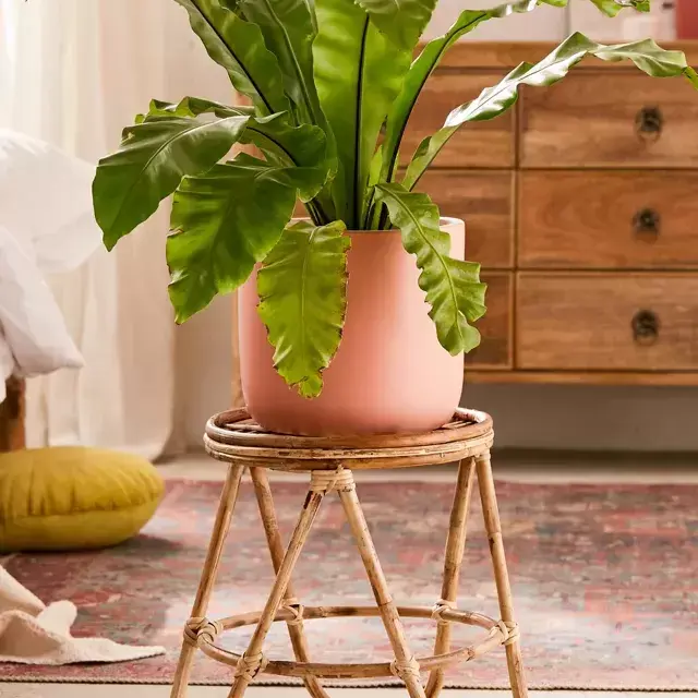 Skye Rattan Stool