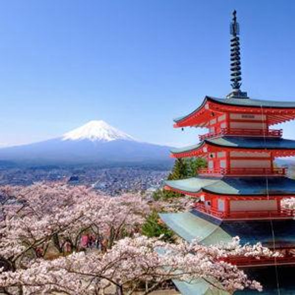 Japan Honeymoon Fund