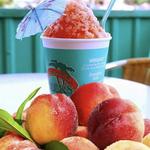 Bahama Buck's - Arlington