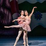 Benjamin & Marian Schuster Performing Arts Center