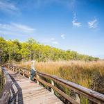 Hammock Hills Nature Trail