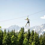 Climbing Forest