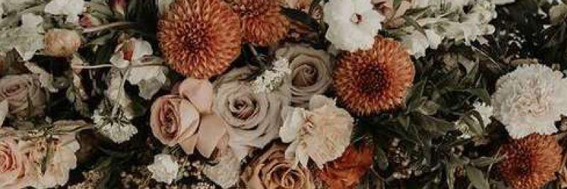 The Wedding Website of Taylor Bentley and Matthew Harmon