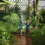 Garfield Park Conservatory
