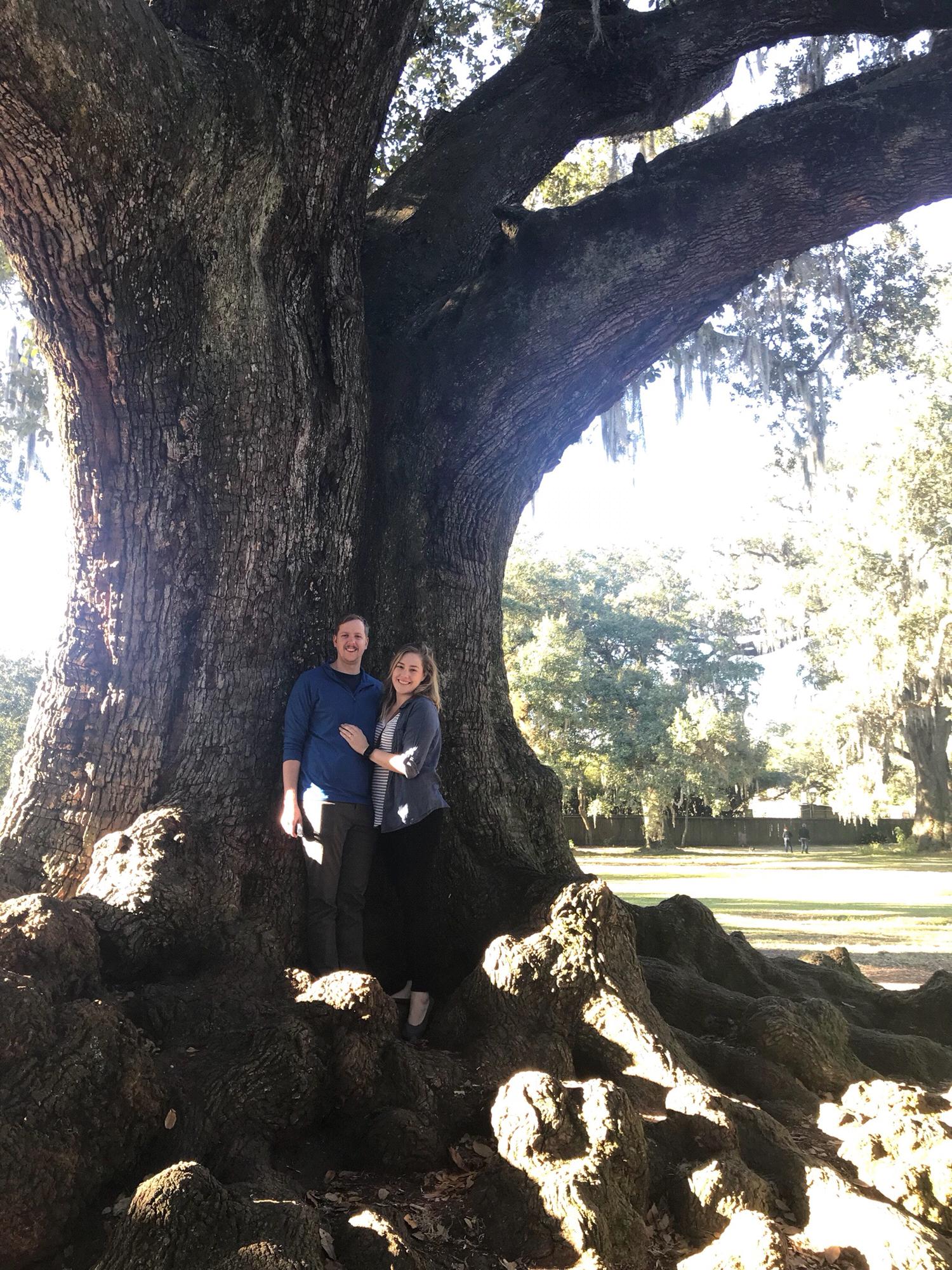 We try to visit New Orleans once a year to gorge ourselves on delicious food and laissez les bons temps rouler. 
Tree of Life 
November 2017