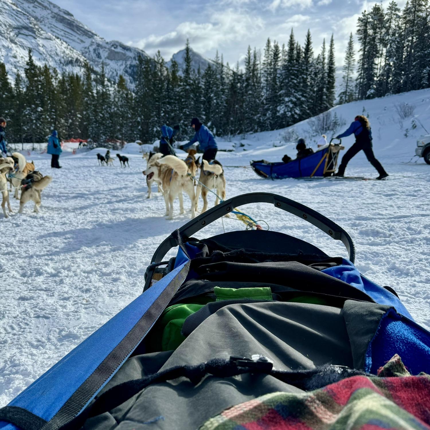 First time dog sledding. Banff, Alberta