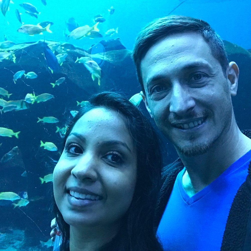 At the Georgia Aquarium