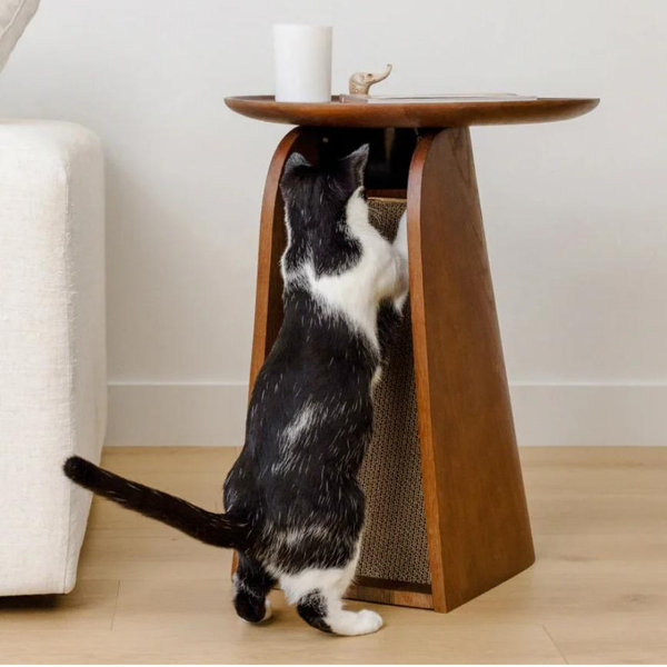 Kona Scratcher