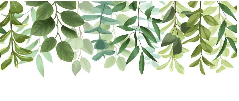 The Wedding Website of Anna Hughes and Harley Thrift