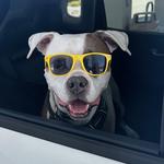 Visit Tommy (JUST KIDDING)