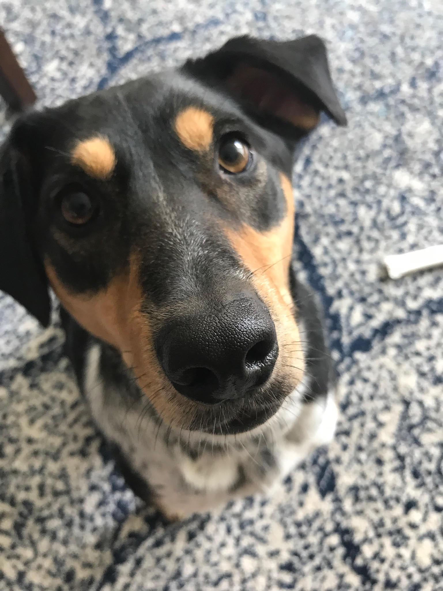 The Wedding Website of Betsy Waldstein and Ross Nemzin