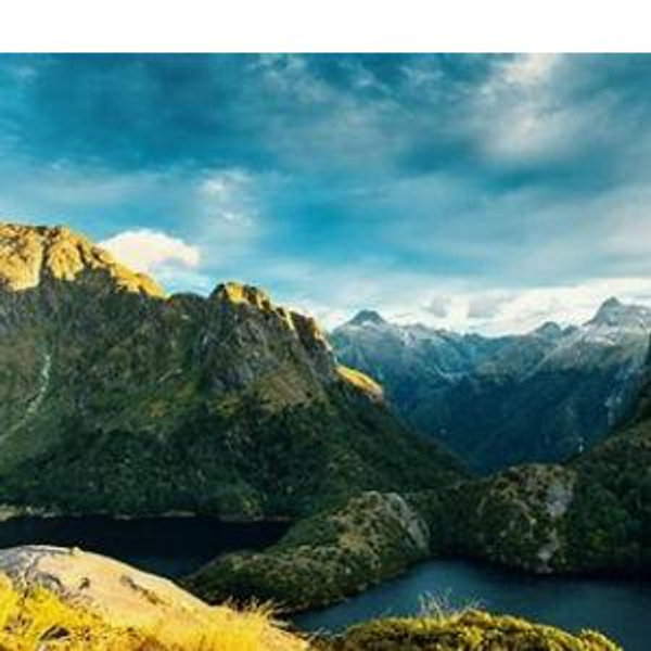 Our New Zealand Honeymoon Fund
