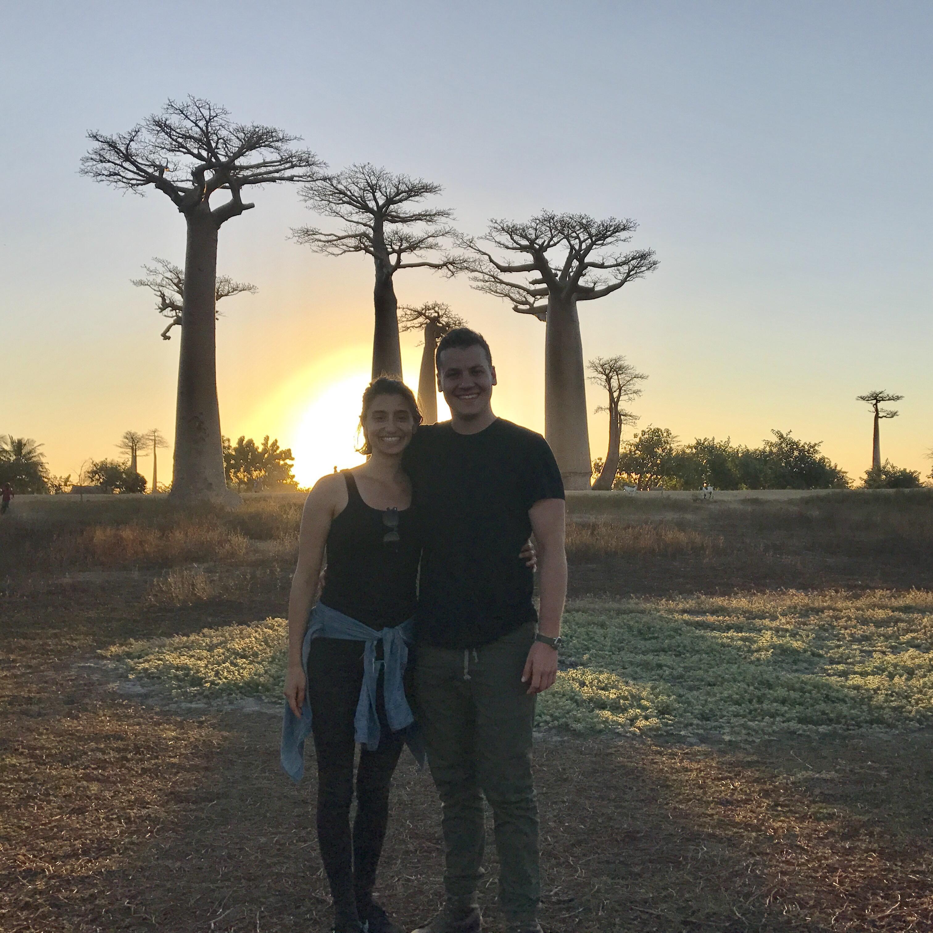 Sunset at avenue of the baobabs in Madagascar