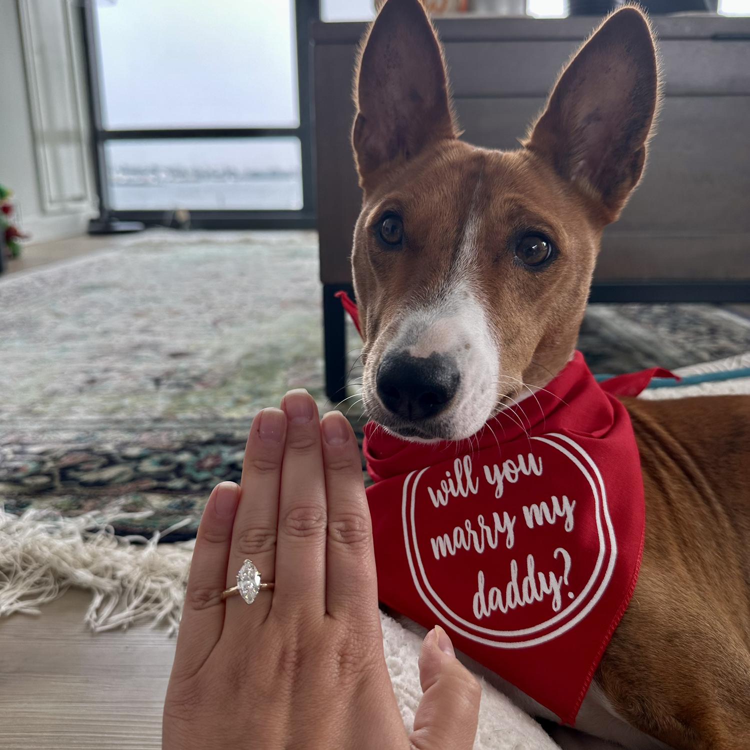 The day of the proposal