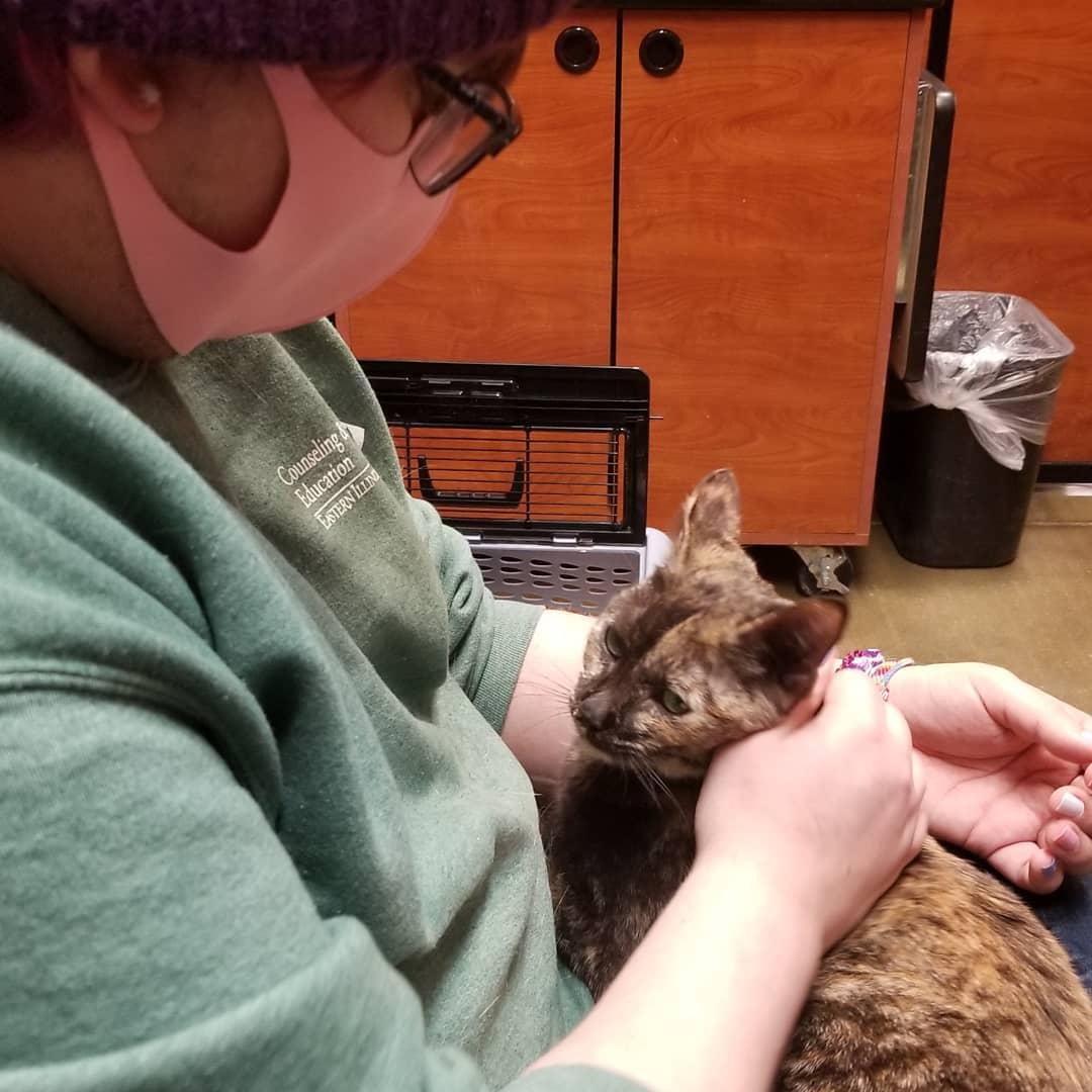 The day we brought Jupiter home! January 2021