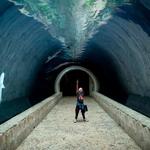 The Dallas World Aquarium