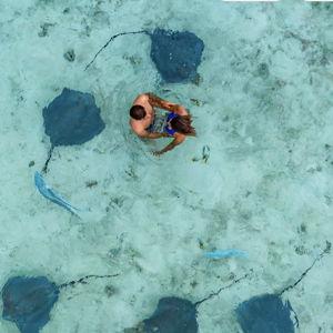 Swimming with Manta Rays for Two