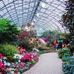 Garfield Park Conservatory