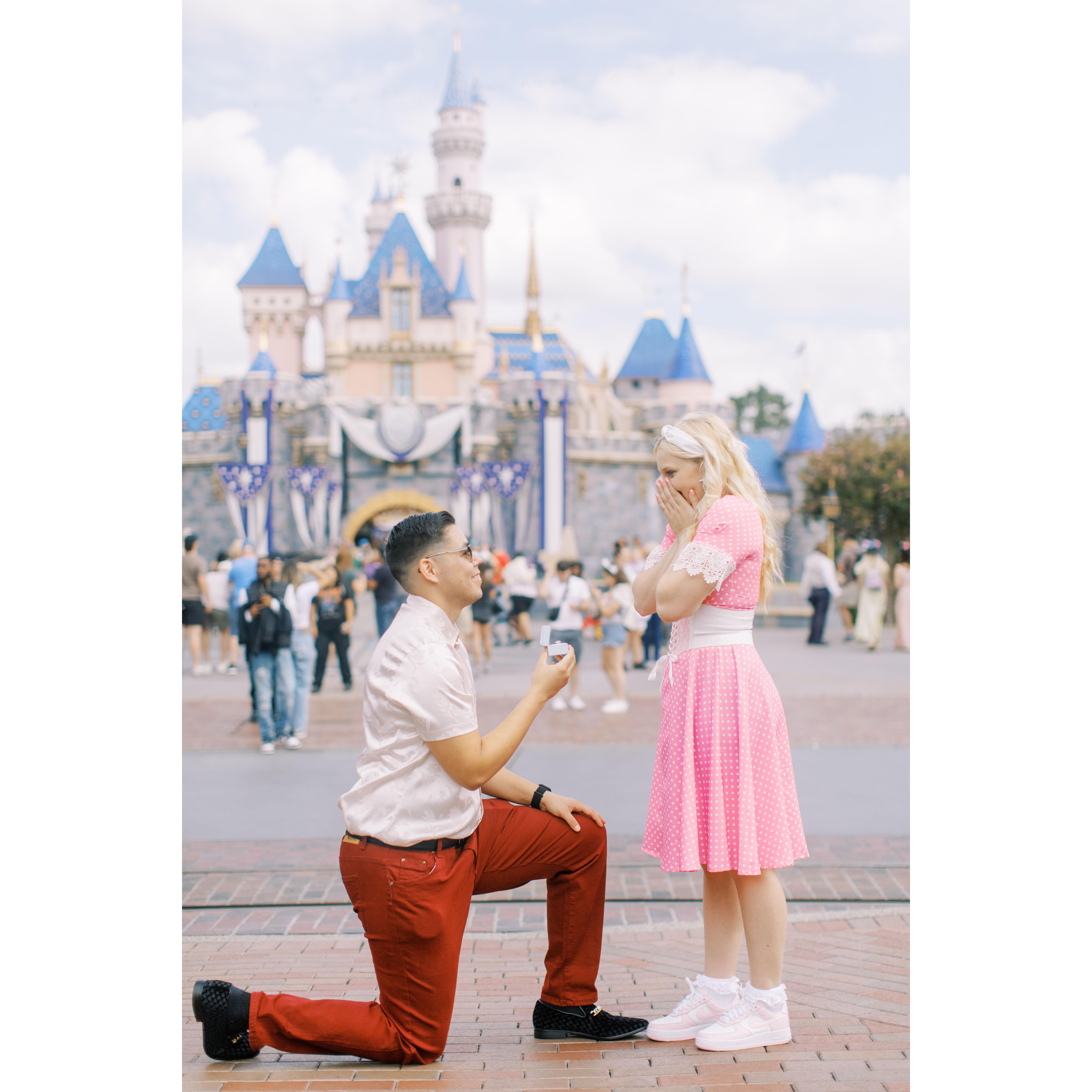 Redo Proposal photo