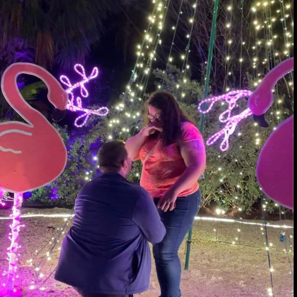 Hero Slideshow Image 1