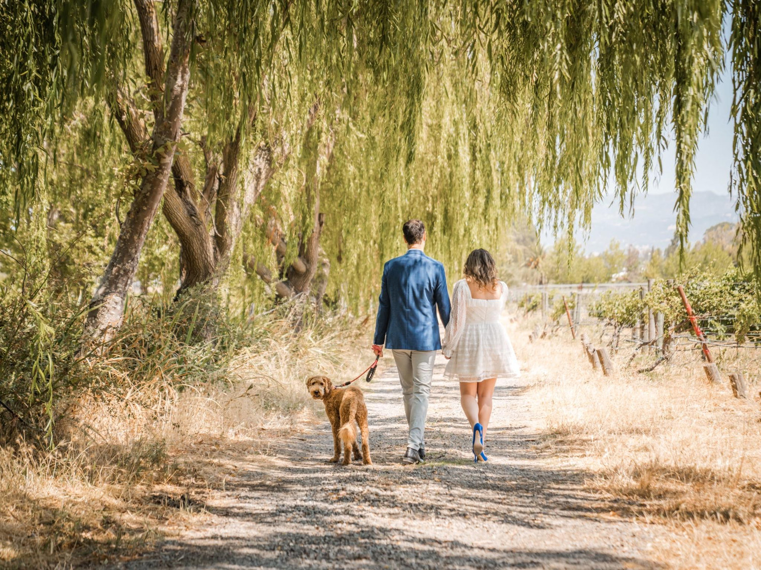 The Wedding Website of Emily Carsch and Rafael Gimenes