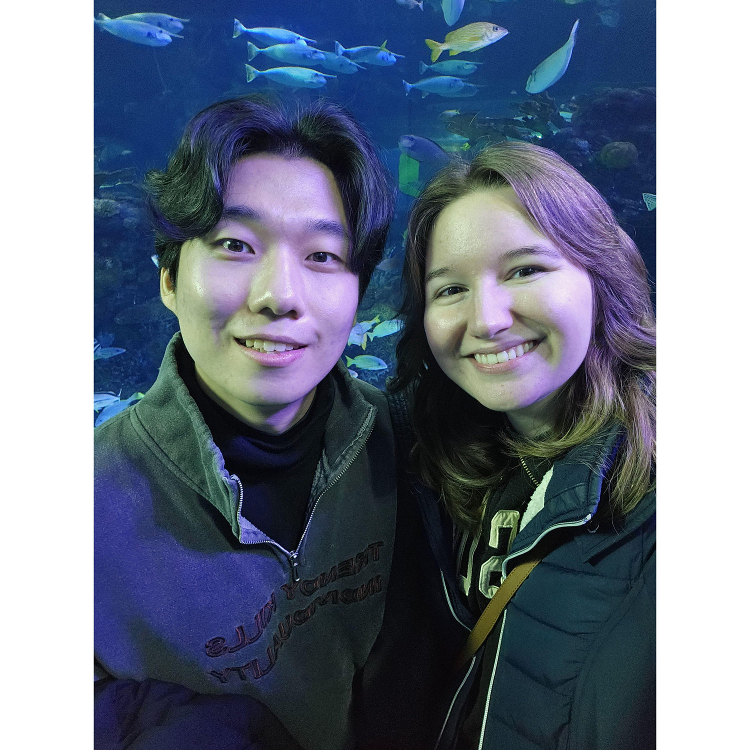 The aquarium in Branson