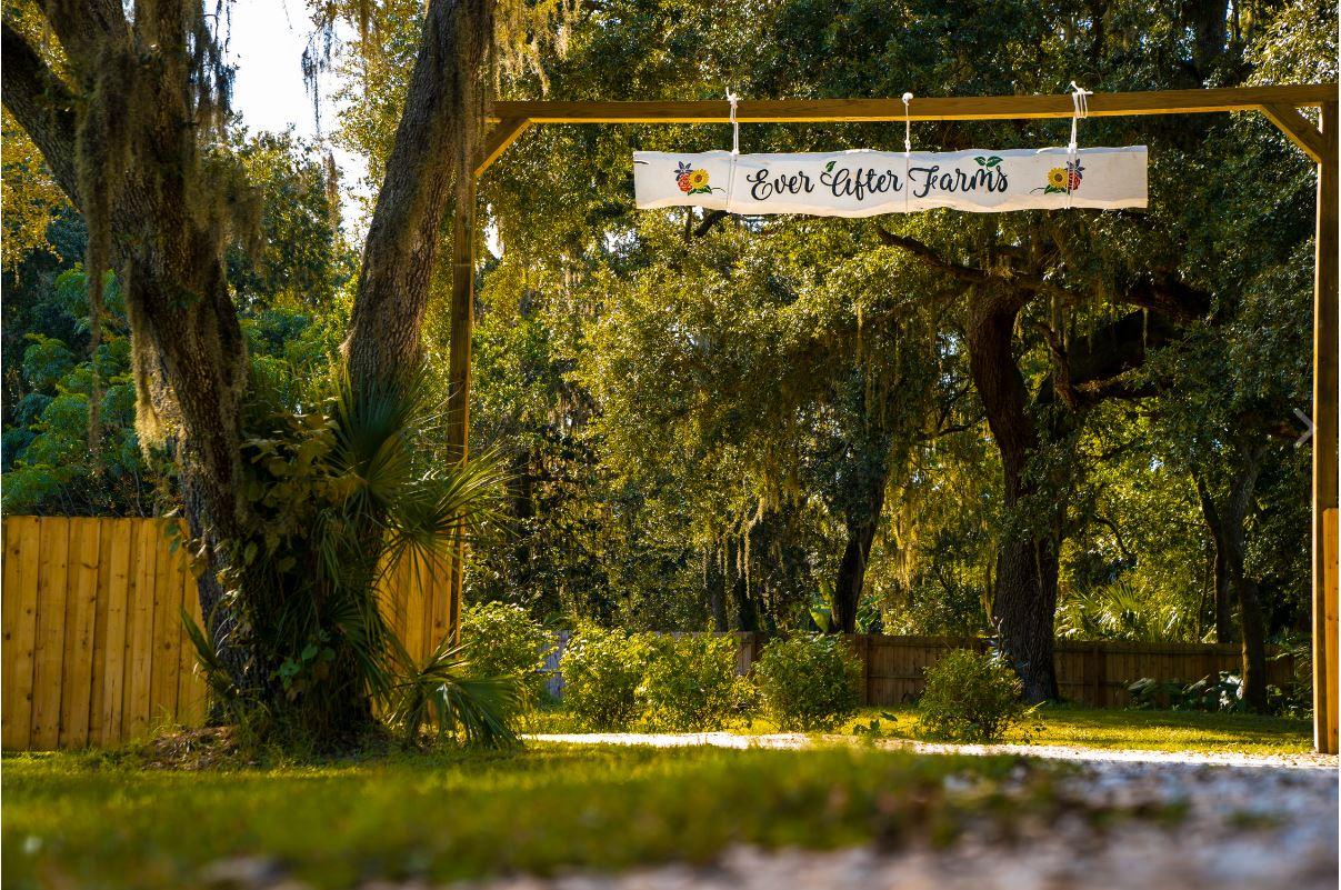 The Wedding Website of Gabby Bierhorst and Kevin Eastman
