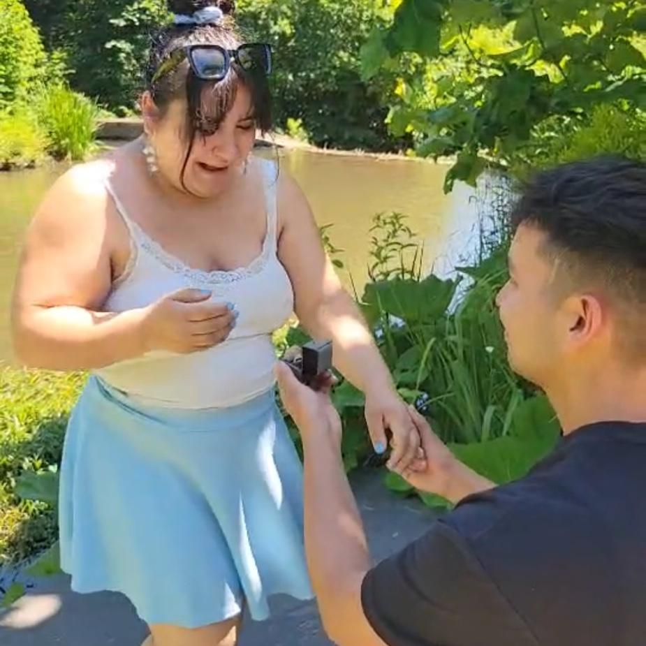 The proposal