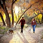 Paseo del Bosque Trail