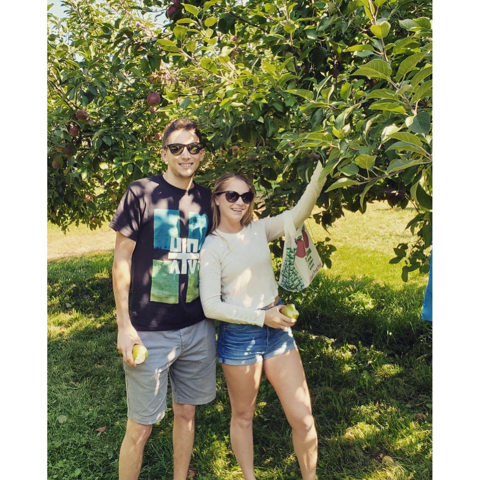 From apple picking in Vermont...
