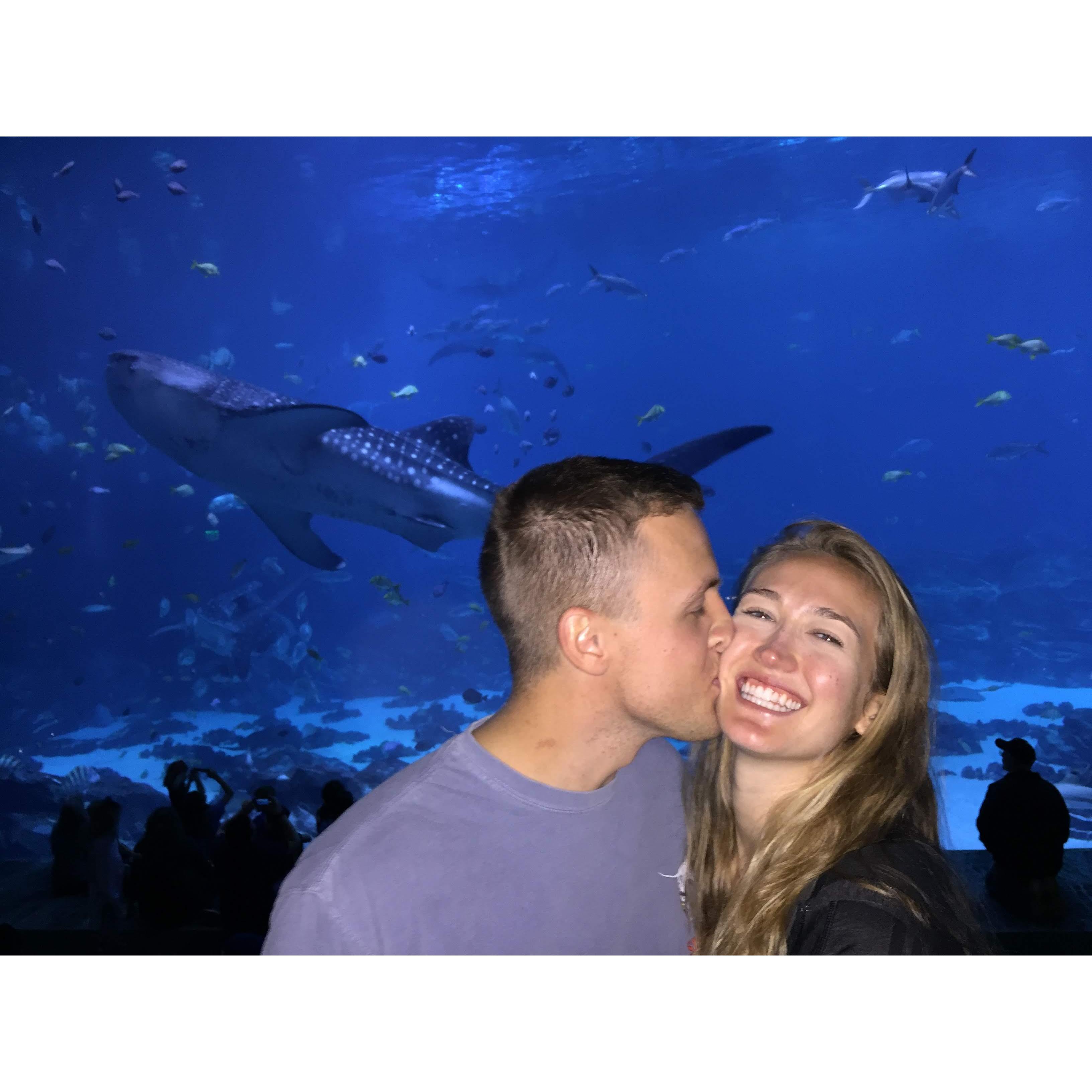 First kiss on the cheek photo! At the GA aquarium