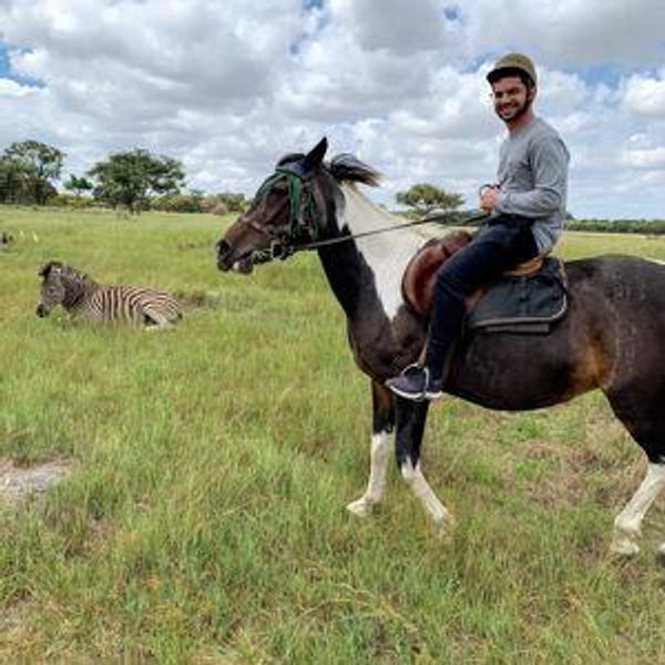 Safari in Serengeti National Park, Tanzania