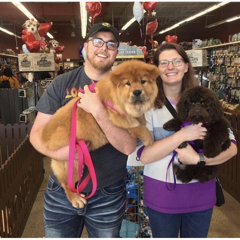 When we adopted Nala, the second puppy