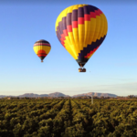 A Grape Escape Balloon Adventure