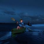 Bahía Bioluminiscente