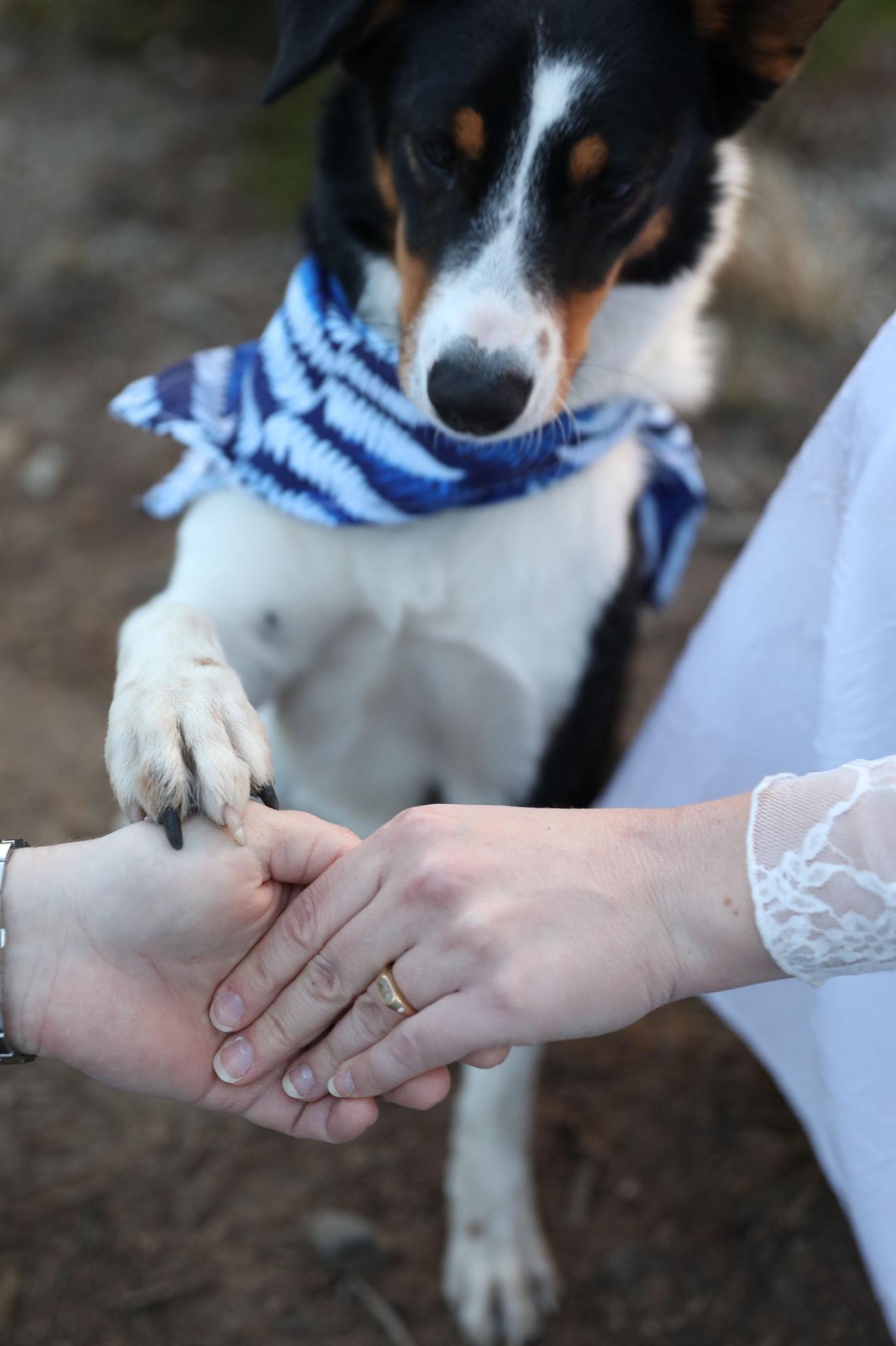 The Wedding Website of Sarah Anderson and Jordan Horn