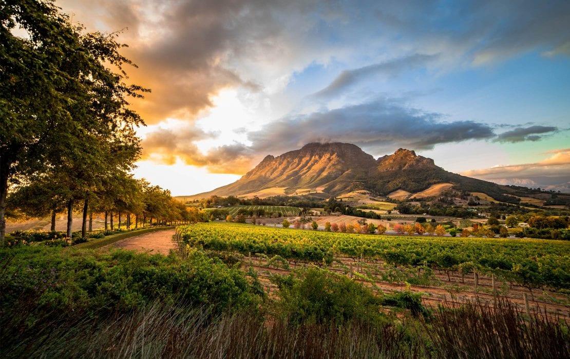 The Wedding Website of Wade Forsyth and Sara Barnes