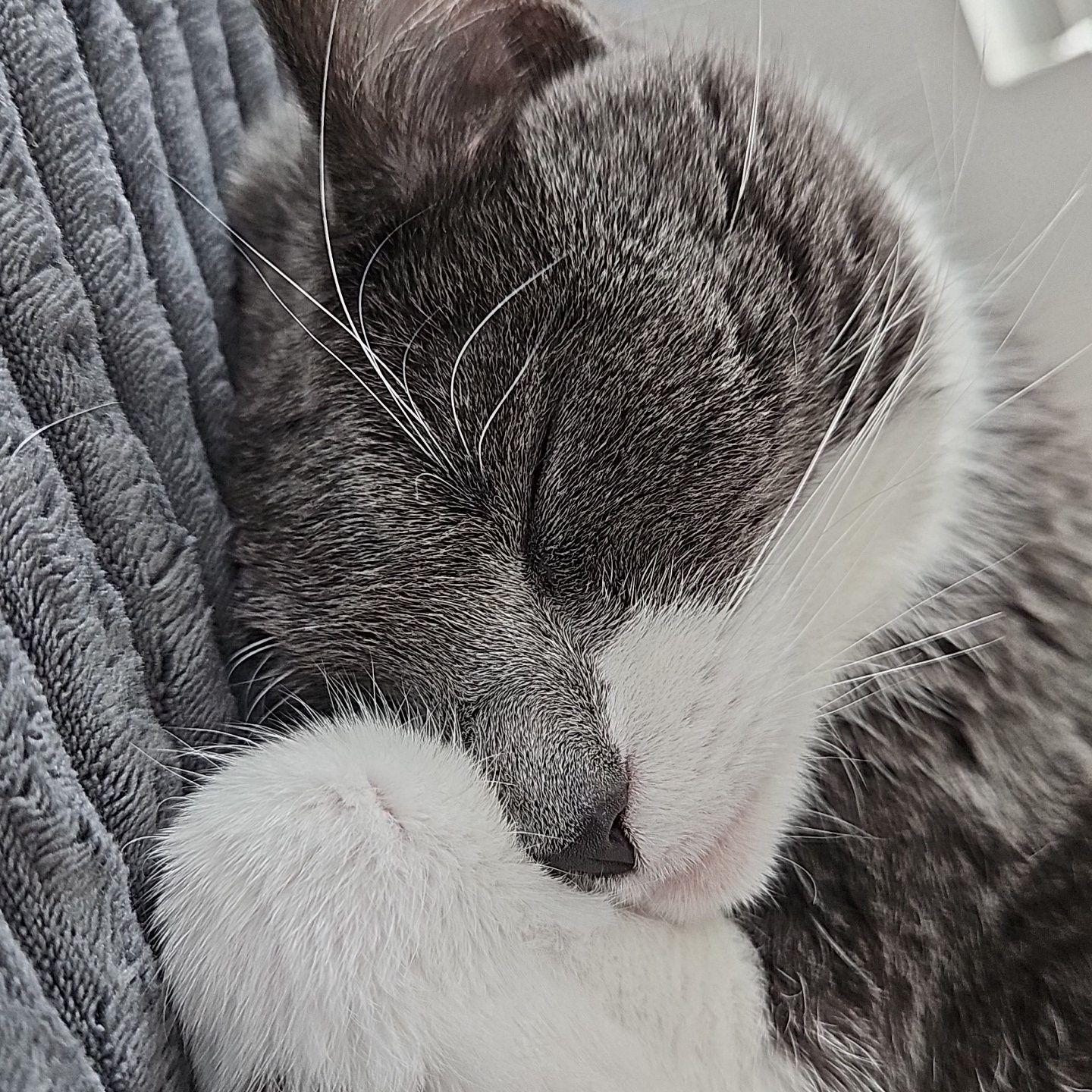 Mabel enjoying a snooze!