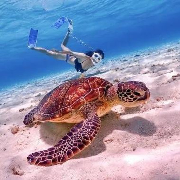 Snorkeling For Two....in Japan!!!