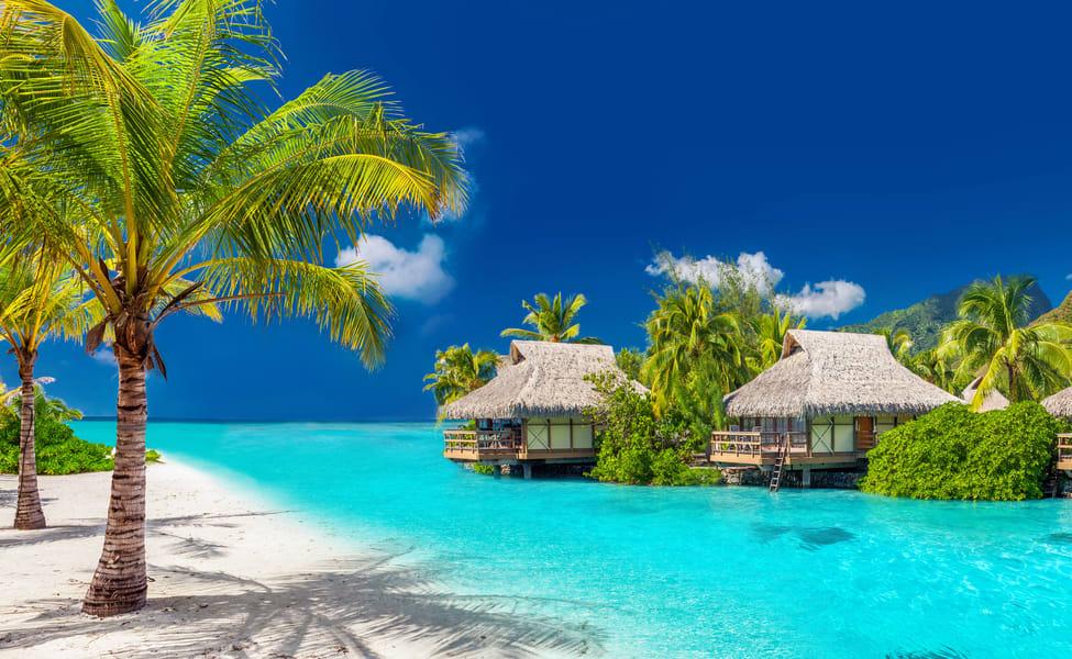 f2bf58ab-f1f7-49de-96c3-5872ad2b2ebe