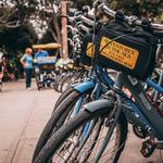 Adventures By The Sea