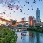 Ann W. Richards Congress Avenue Bridge