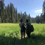 Crescent Meadow Loop