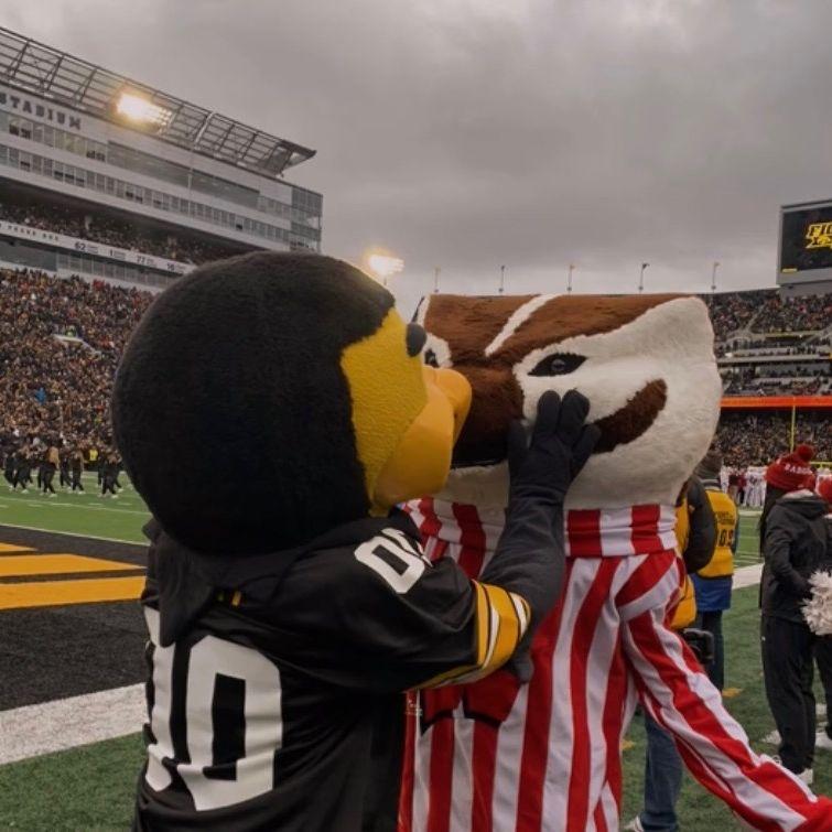 Herky and Bucky ♡