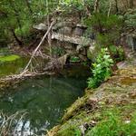 Wild Basin Wilderness Preserve